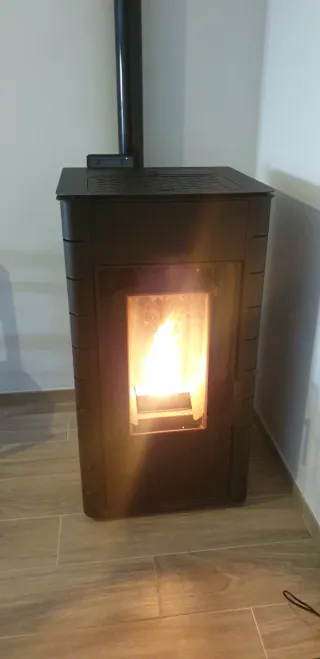 Reparación y limpieza de estufas de pellets