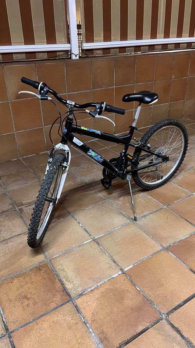 Bicicleta 24”