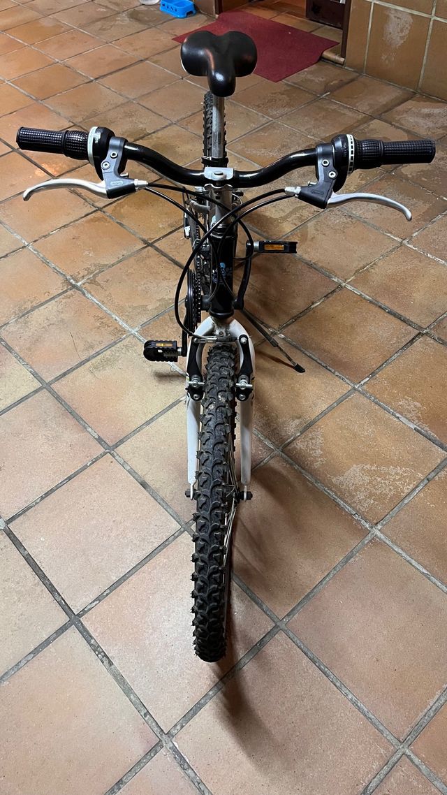 Bicicleta 24”
