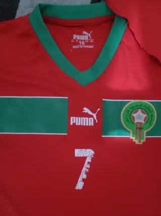 Camiseta Fútbol Puma Marruecos Roja