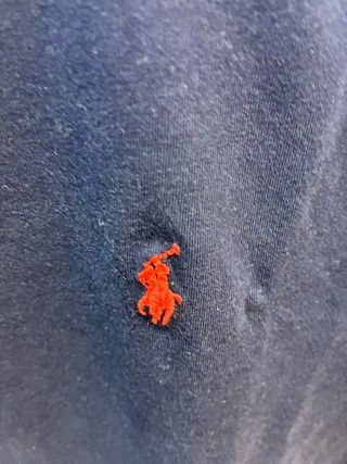 Camiseta Polo Ralph Lauren y sudadera puma