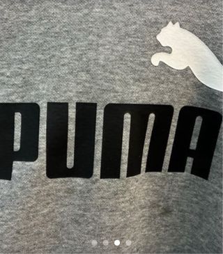 Camiseta Polo Ralph Lauren y sudadera puma