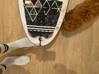 Tabla de surf JS Industries  5,10 x 19 1/4 29,1L