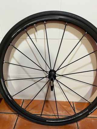 Ruedas Campagnolo Shamal Mille