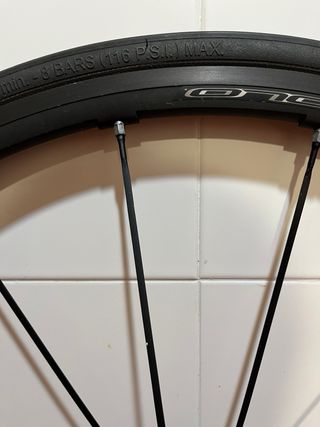 Ruedas Campagnolo Shamal Mille