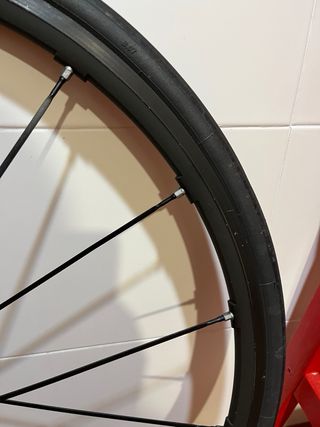 Ruedas Campagnolo Shamal Mille