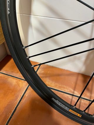 Ruedas Campagnolo Shamal Mille