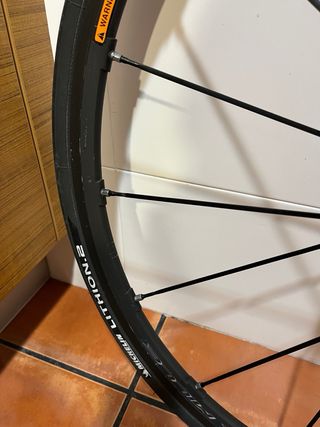 Ruedas Campagnolo Shamal Mille