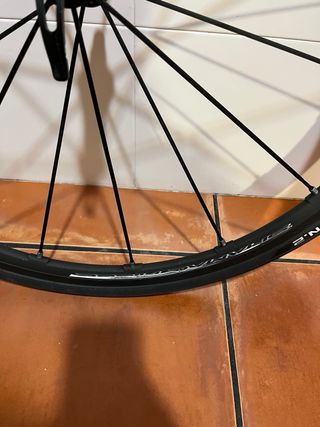 Ruedas Campagnolo Shamal Mille