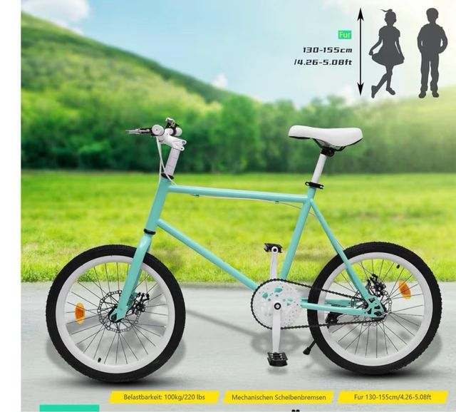 Bicicleta Mint Ruedas 20