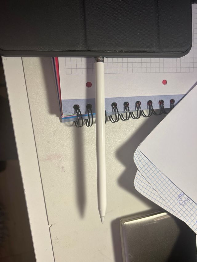 Apple Pencil 1ª Gen