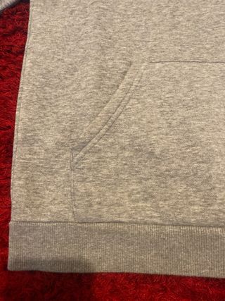 Sudadera Puma Gris con Logo