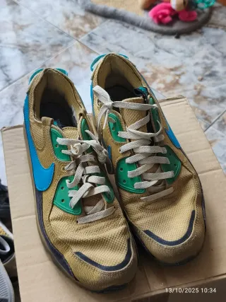 Zapatillas Nike Beige y Azul