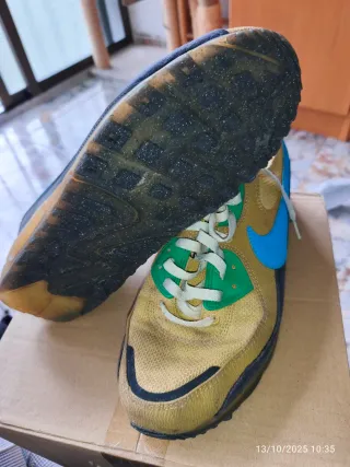 Zapatillas Nike Beige y Azul