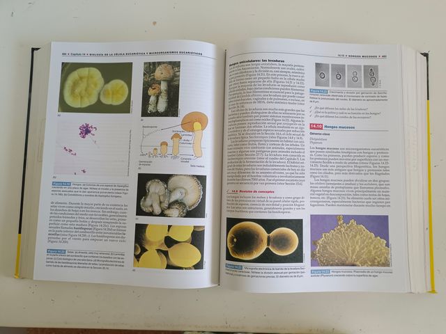 Brock, Biologia de Los Microorganismos, 10 edic...