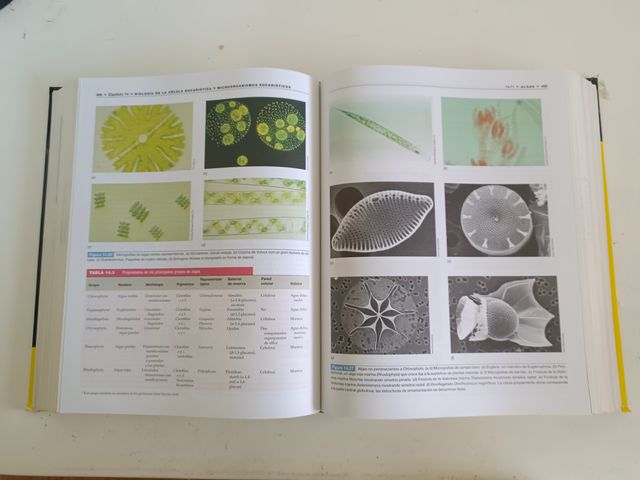 Brock, Biologia de Los Microorganismos, 10 edic...