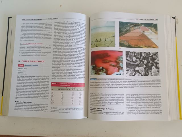 Brock, Biologia de Los Microorganismos, 10 edic...