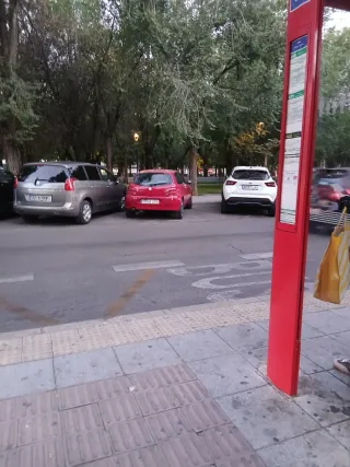 Montaje de pladur y pintura