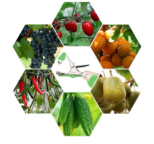 Atadora de Tomates Máquina Cinta Plantas