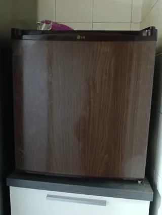 Mini frigorifero LG 46L