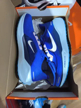 Nike Air Zoom Pegasus 41 CM Talla 41