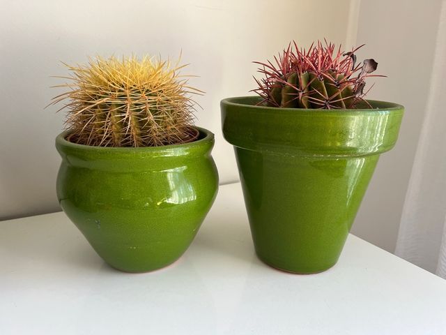 2 Macetas Verdes Cerámica (incluidos los cactus)