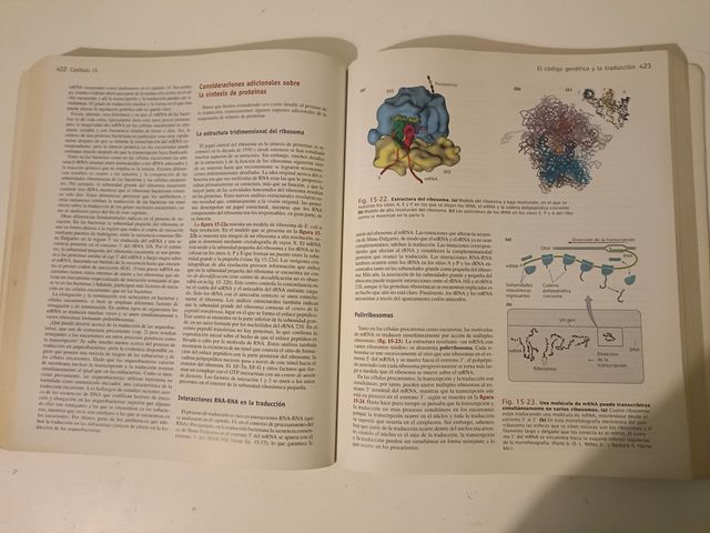 Genética. Un Enfoque Conceptual.