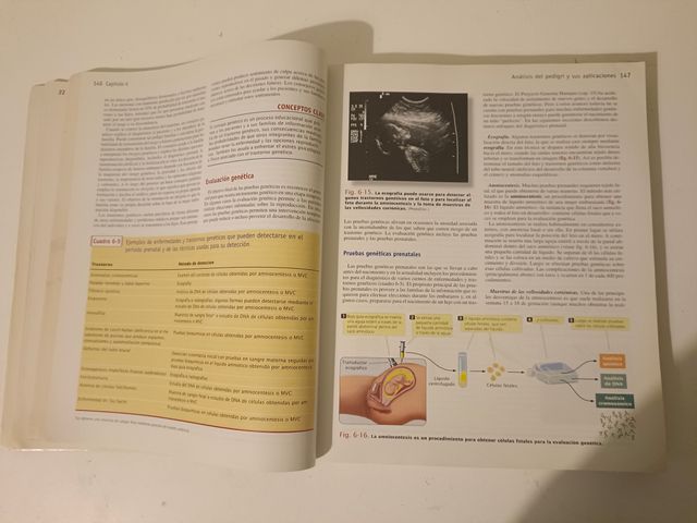 Genética. Un Enfoque Conceptual.