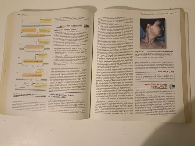 Genética. Un Enfoque Conceptual.