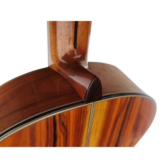 Guitarra Flamenca Antonio de Toledo De Pau Ferro