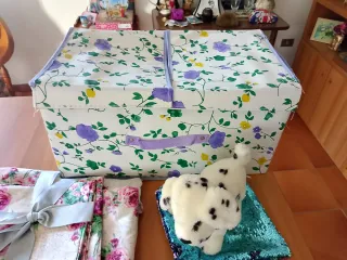 Box con vari articoli