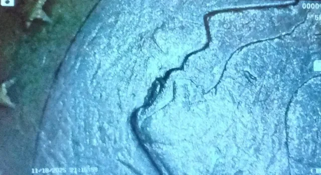 Moneta 1€ Paesi Bassi 1999 con errore