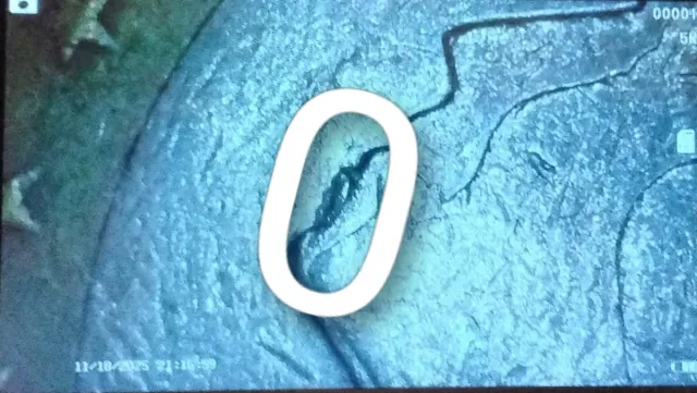 Moneta 1€ Paesi Bassi 1999 con errore