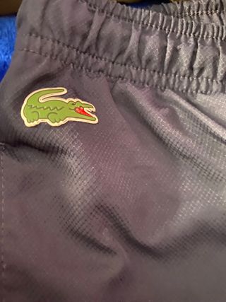 Pantalón de chándal Lacoste verde