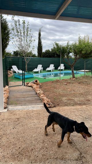 Parcela rústica con jardín y piscina