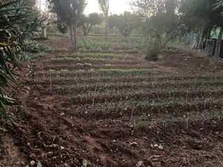 Parcela rústica con jardín y piscina