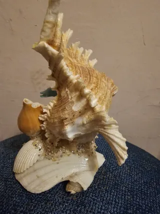 Decorazione marina con conchiglie e delfino
