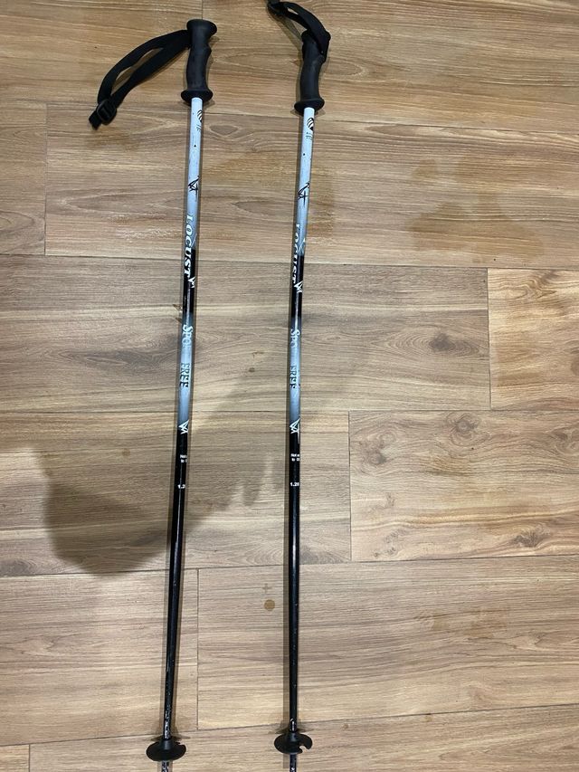 Bastones de esquí Locus Sport