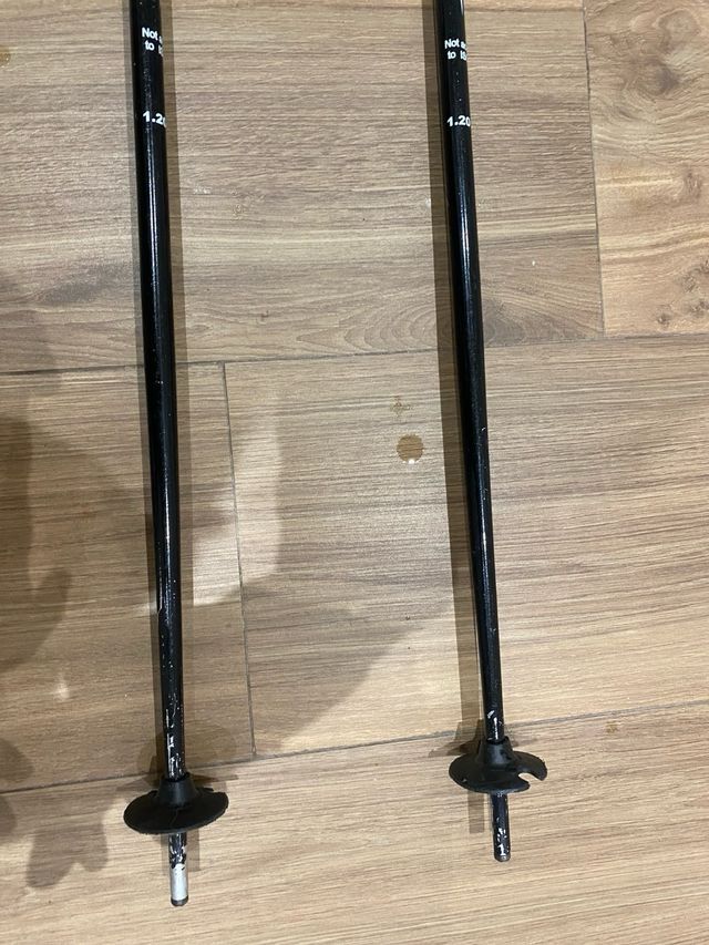 Bastones de esquí Locus Sport