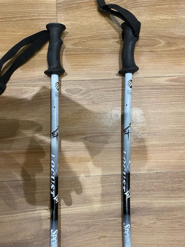 Bastones de esquí Locus Sport