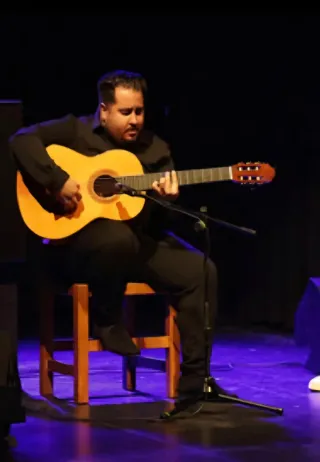 Clases Guitarra Flamenca Online y Presencial