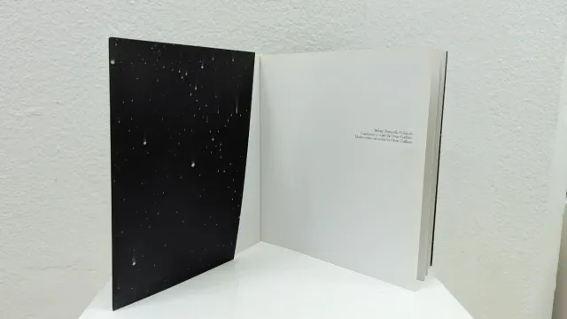 Bellini, Botticelli, Pollaiolo capolavori s/vel...