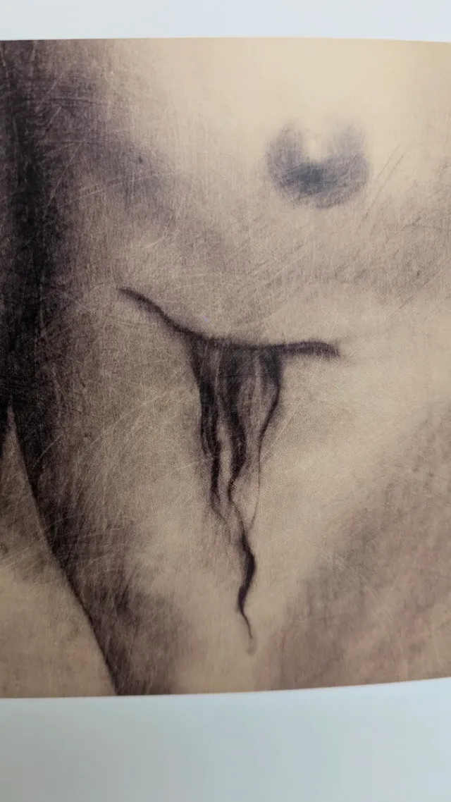 Bellini, Botticelli, Pollaiolo capolavori s/vel...