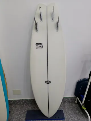 Surf Fish/Quad