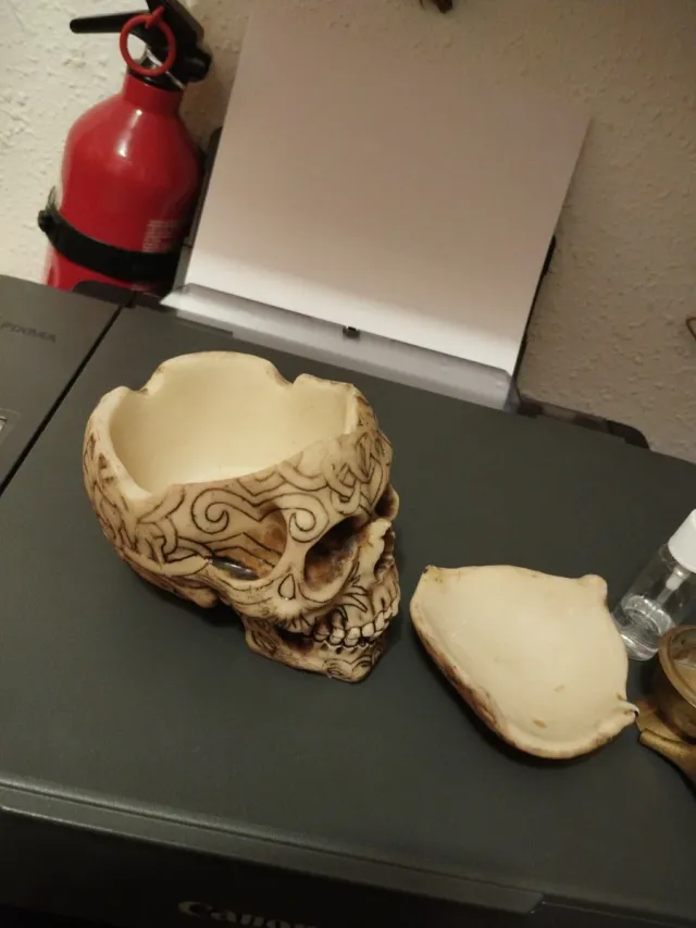 Calavera Celta cenicero o caja decorativa