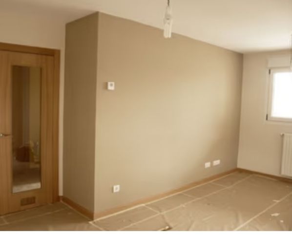 PINTOR BUENOS PRECIOS