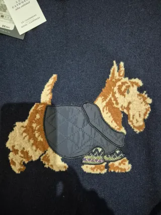 Jersey Lloyd's perro escocés