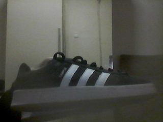 Adidas Campus Talla 43 Usadas 2 Veces.