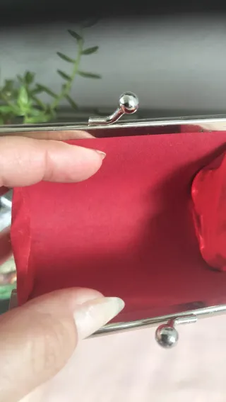 Monedero de broche plateado y rojo