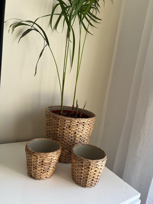 3 Maceteros Mimbre IKEA Beige/Marrón